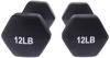 Picture of Amazon Basics Neoprene Coated Hexagon Workout Dumbbell Hand Weight, 12 pound, Set of 2, Total 24 lb, Black