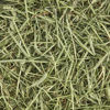 Picture of Kaytee All Natural Timothy Hay for Guinea Pigs, Rabbits & Other Small Animals, 12 Pound