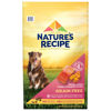 Picture of Nature’s Recipe Grain Free Salmon, Sweet Potato & Pumpkin Recipe Dry Dog Food, 24 lb. Bag