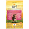 Picture of Nature’s Recipe Grain Free Salmon, Sweet Potato & Pumpkin Recipe Dry Dog Food, 24 lb. Bag