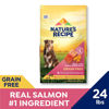 Picture of Nature’s Recipe Grain Free Salmon, Sweet Potato & Pumpkin Recipe Dry Dog Food, 24 lb. Bag