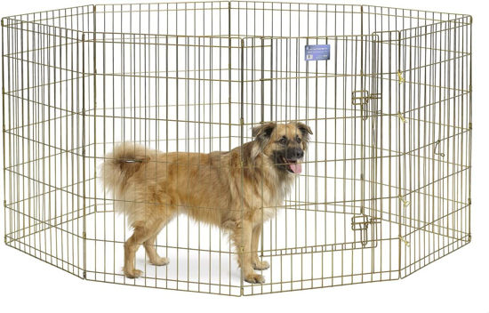 Picture of MidWest Homes for Pets Foldable Metal Dog Exercise Pen / Pet Playpen, Gold zinc w/ door, 24'W x 36'H, 1-Year Manufacturer's Warranty