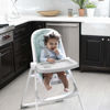 Picture of Ity by Ingenuity Yummity Yum Easy Folding High Chair - Goji (Pack of 2)