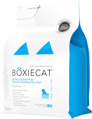 Picture of Boxie® Unscented 30 Day Natural Odor Control Cat Litter, 28lb Clumping Clay Kitty Litter