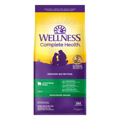 Picture of Wellness Complete Health Dry Dog Food with Grains, Made in USA with Real Meat & Natural Ingredients, All Breeds, Adult Dogs (Lamb & Barley, 30-lb) - With Nutrients for Immune, Skin, & Coat Support, 30.00 Pound (Pack of 1)