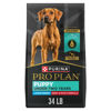 Picture of Purina Pro Plan High Protein Large Breed Puppy Food With Probiotics, Beef & Rice Formula - 34 lb. Bag