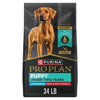 Picture of Purina Pro Plan High Protein Large Breed Puppy Food With Probiotics, Beef & Rice Formula - 34 lb. Bag