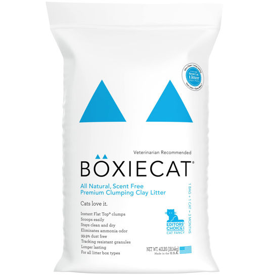 Picture of Boxiecat Premium Clumping Clay Cat Litter, Scent Free, 40lbs - Longer Lasting Odor Control - Hard, Non Stick Clumps - Stays Ultra Clean - 99.9% Dust Free