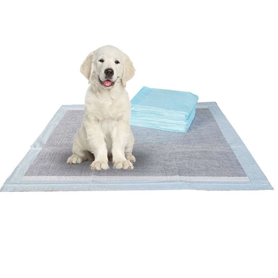 Picture of BV Pet Potty Training Pads for Dogs and Puppies, Charcoal Training Pad Puppy Pee Pads, 22" x 22", 100-Count, 6 Packs (Total 600 Counts)