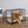 Picture of MidWest Homes for Pets Newly Enhanced Double Door iCrate Dog Crate, Includes Leak-Proof Pan, Floor Protecting Feet, Divider Panel & New Patented Features