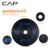 Picture of CAP Barbell Economy - Speckled Olympic Bumper Plate with Blue Logo, Black, 45 lb Single