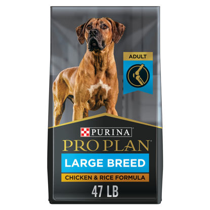 Picture of Purina Pro Plan High Protein, Digestive Health Large Breed Dry Dog Food, Chicken and Rice Formula - 47 lb. Bag