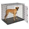 Picture of Midwest Homes for Pets Ginormous Double Door 54-Inch Dog Crate for XXL Dogs Breeds; Great Dane, Mastiff, St. Bernard, Drop Pin Assembly Requires Two People; Divider Panel Not Included; Black: SL54DD