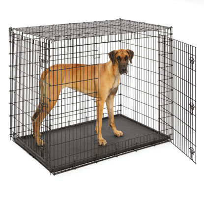 Picture of Midwest Homes for Pets Ginormous Double Door 54-Inch Dog Crate for XXL Dogs Breeds; Great Dane, Mastiff, St. Bernard, Drop Pin Assembly Requires Two People; Divider Panel Not Included; Black: SL54DD