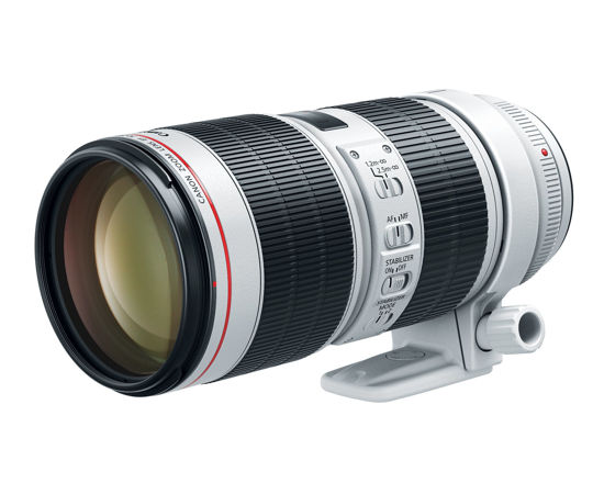 Picture of Canon EF 70-200mm f/2.8L IS III USM Lens for Canon Digital SLR Cameras, White - 3044C002