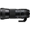 Picture of Sigma 150-600mm f/5-6.3 DG OS HSM Contemporary Lens for Nikon F Bundle Includes Manufacturer Accessories + 72 inch Monopod with Quick Release + UV Filter + Lens Pen + Microfiber Cleaning Cloth