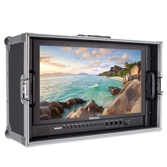 Picture of SEETEC P173-9HSD-CO 17.3 Inch Carry on Broadcast Production Director Monitor with 3G-SDI HDMI YPbPr Input and Output Aluminum Design Full HD 1920×1080