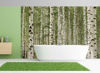 Picture of 12-Feet wide by 9-Feet high. Prepasted wallpaper full wall size mural from a photo of: Birch Trees Forest.Easy to hang remove and reuse (hang again) If U do as in our video.144"W x 108"H