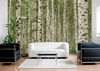 Picture of 12-Feet wide by 9-Feet high. Prepasted wallpaper full wall size mural from a photo of: Birch Trees Forest.Easy to hang remove and reuse (hang again) If U do as in our video.144"W x 108"H