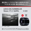 Picture of Panasonic H-X09 Wide Angle Monofocal LUMIX Camera Lens Interchangeable Lens for DSLR Cameras