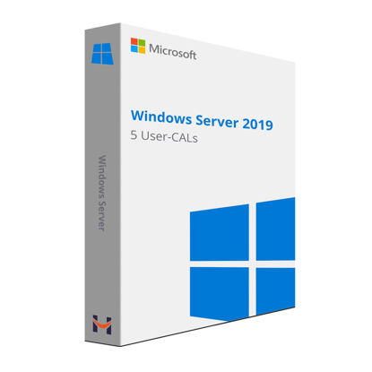 Picture of Microsoft Windows Server 2019 - License - 5 User Cal