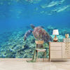 Picture of ATTAFE Sea Turtle in Blue Water 3D Mural Wallpaper, Underwater Coral Reef Photo Mural Wallpapers, Mural HD Photo for Living Room TV Sofa Bedroom 169" by 118"