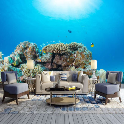 Picture of ATTAFE Philippines Underwater Coral Reef 3D Mural Wallpaper, Fishes and Marine Life Photo Mural Wallpapers, Mural HD Photo for Living Room TV Sofa Bedroom 169" by 118"