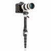 Picture of MSDPL46C SupaDupa Monopod