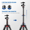 Picture of NEEWER Upgraded 80.7" Carbon Fiber Camera Tripod Monopod with Telescopic 2 Section Center Axes, 360° Panorama Ballhead, 1/4" Arca Type QR Plate, Travel Tripod with ø28mm Column, Max Load 26.5lb, N55CR