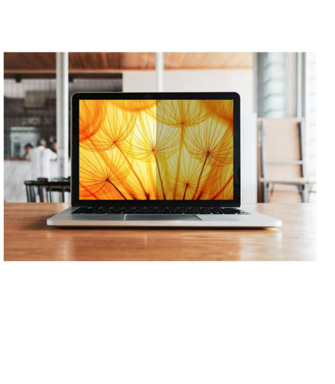 Picture of 3M Bright Screen Privacy Filter for 16" Laptop, BP160W1B