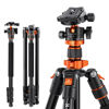 Picture of K&F Concept 78 inch Camera Tripod for DSLR Compact Aluminum Tripod with 360 Degree Ball Head and 10KG Load for Travel and Work K234A7+BH-28L (S210)