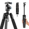 Picture of Sirui Compact Traveler 5C Tripod 54.3 inches Lightweight Carbon Fiber Travel Tripod Portable Camera Tripod with 360° Panorama Ball Head for Arca Swiss Quick Release Plate Load Capacity Up to 8.8lbs