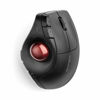 Picture of Kensington Pro Fit Ergo Vertical Wired Trackball (K75256WW)