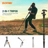 Picture of ZOMEi Camera Tripod 62" Light Weight DSLR Tripod with Ball Head Quick Release Plate and Carrying Case (Aluminum Tripod)