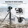 Picture of NEEWER Tripod Fluid Head with ±10° Leveling Base (43mm Dia.) Vertical/Horizontal Shooting Switch, Compact Metal Pan Tilt Video Head with Arca QR Plate, Telescopic Handle, Max Load 9.9lb/4.5kg, GM30