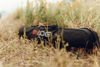 Picture of BOG DeathGrip Tripod Carry Bag with Padded Shoulder Strap and Water-Resistant Exterior for Hunting Tripods