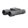 Picture of Bushnell Powerview 10x32 Compact Folding Binocular , Black