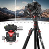 Picture of EVUMO C5 38MM Tripod Ball Head with Arca Type Quick Release Plate, 360° Panoramic Ball Head Mount with 1/4" Screw 3/8" Thread for Tripod, Monopod, Slider, DSLR Camera, Camcorder, Max Load 33lbs/15kg