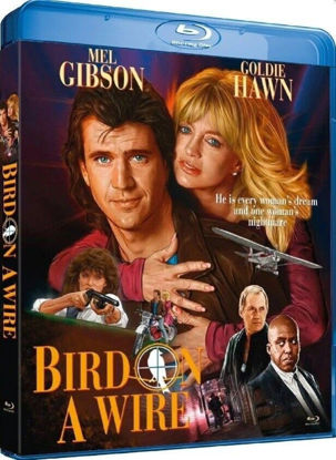 Picture of Bird on a Wire /Movies/Standard/BLU-Ray Brand