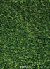 Picture of SJOLOON 5X7ft Green Leaves Backdrop Greenery Backdrop Natural Green Lawn Party Photography Backdrop Birthday Newborn Baby Lover Wedding Photo Studio Props 10923