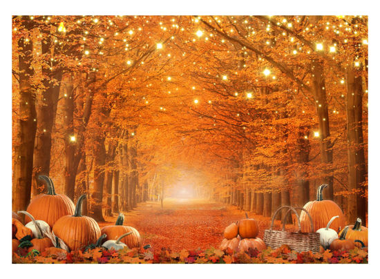 Picture of Allenjoy 7 x 5 FT Fall Photography Backdrop Thanksgiving Party Supplies Autumn Pumpkin Friendsgiving Background Decor Photo Booth Props