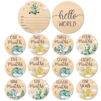 Picture of Huray Rayho Little Dragon Baby Monthly Milestone Cards Neutral Wooden Tags Newborn Photography Props Set of 13 Wood Discs from One Month to One Year Baby Growth Record