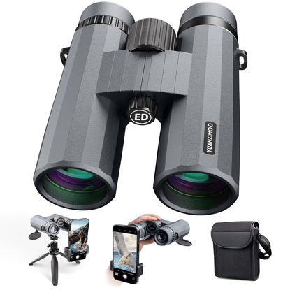 Picture of 12x42 Binoculars for Adults High Powered Binoculars Waterproof Compact Binoculars with Low Light Night Vision for Hunting Outdoor Sports Concerts Bird Watching Grey