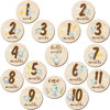 Picture of 16 Pieces Wooden Baby Monthly Milestone Cards Baby Monthly Milestone Marker Discs Double Sided Monthly Milestone Wooden Circles Baby Months Signs for Baby Shower Newborn Photo Props(Blue Elephant)