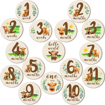 Picture of 16 Pieces Wooden Baby Monthly Milestone Cards Baby Monthly Milestone Marker Discs Double Sided Monthly Milestone Wooden Circles Baby Months Signs for Baby Shower Newborn Photo Props (Highland Cow)