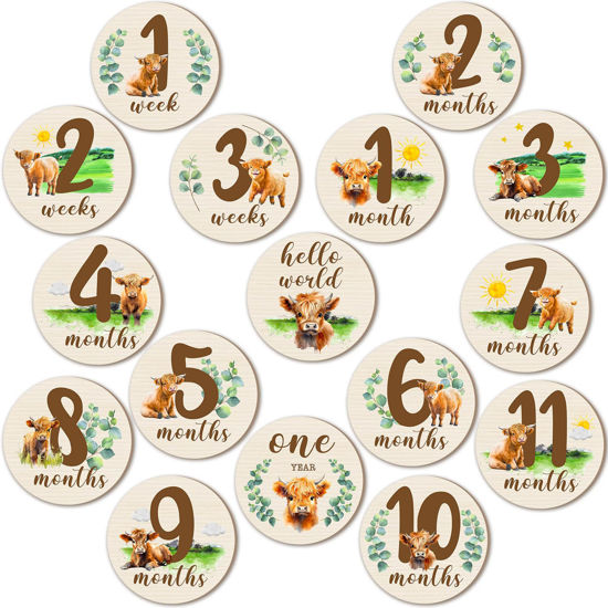 Picture of 16 Pieces Wooden Baby Monthly Milestone Cards Baby Monthly Milestone Marker Discs Double Sided Monthly Milestone Wooden Circles Baby Months Signs for Baby Shower Newborn Photo Props (Highland Cow)