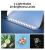 Picture of Light Box Photography 8 inch Portable Folding Photography Light Tent Kit with LED Light 4 Colors Backgrounds for Necklaces, Rings, Watch, Cosmetics