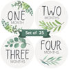 Picture of Baby Monthly Stickers | Greenery Botanical Baby Milestone Stickers | Boho Newborn Boy or Girl Stickers | Eucalyptus Month Stickers for Baby Boy | Gender Neutral | Unisex Sage Green Newborn Monthly