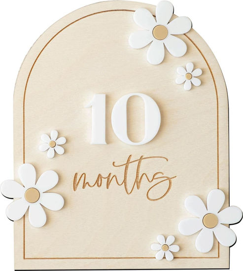 Picture of Daisy 3D Baby Monthly Milestone, Wooden Baby Milestone Signs, Monthly Milestone Wood Discs, Baby Milestone Discs (Daisy)