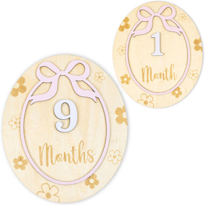 Picture of Baby Monthly Milestone Cards - Acrylic Monthly Milestone Discs - Newborn Photography Props to Document Your Baby´s Growth - Baby Announcement Sign (Coquette Bow)